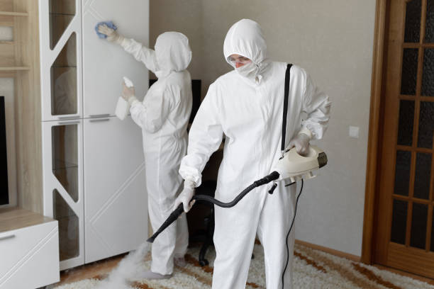 Home Mold Removal in Dewey, OK