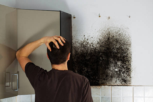 Best Residential Mold Removal  in Dewey, OK